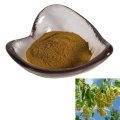 factory suppy high quality linden flower extract/linden tree blossom extract powder 10:1